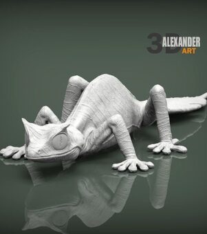 Tắc kè đuôi lá 2