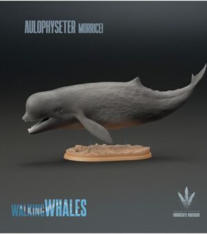 cá nhà táng Aulophyseter