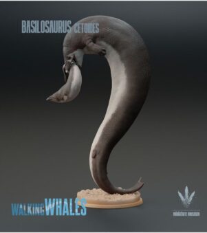 cá voi Basilosaurus