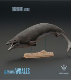 cá voi cổ đại Basilosauridae