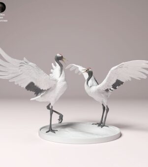 chim sếu đầu đỏ 2