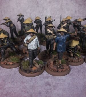 Lính Việt nam khởi nghĩa