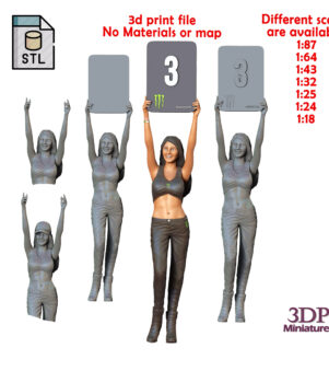 N2 Pit Girl with Placard