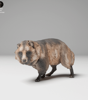 Lửng chó Nhật Bản