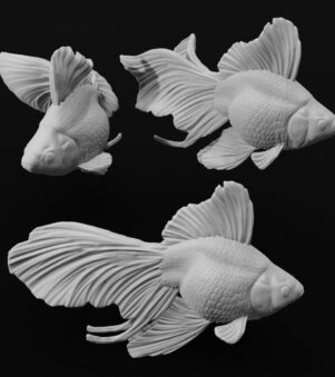 cá Goldfish