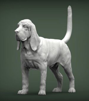 chó bloodhound