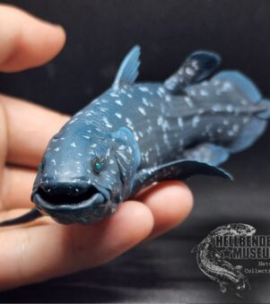 cá Coelacanth Latimeria