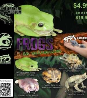 combo 5 mẫu ếch