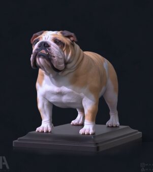 chó BULLDOG
